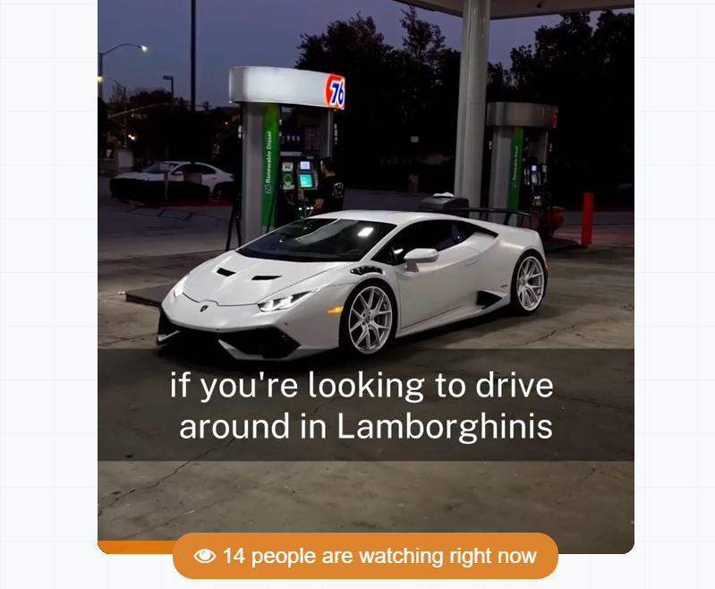 masteryourprofits website